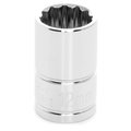 Performance Tool 3/8 In Dr. 12 Pt Socket 12Mm Socket 12Pt 12M, W38812 W38812